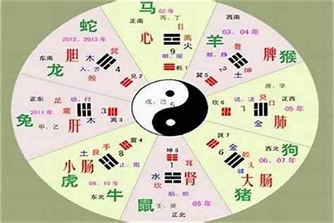 桐五行|桐字的五行属性